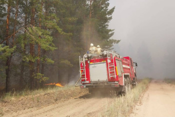 Фотография к новости: Семей орманы тағы өртке оранды
