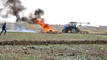Фотография к новости: Ақтөбеде орман өртінен қауіп бар ма