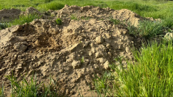 Фотография к новости: Жетісу топырағы тозып барады