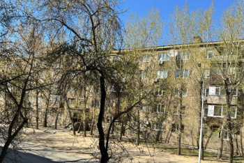 Фотография к новости: Павлодар жасыл қалаға айнала ма