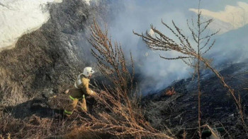 Фотография к новости: ШҚО-да өрттің қауіпті кезеңде 4 адам әкімшілік жауапкершілікке тартылды