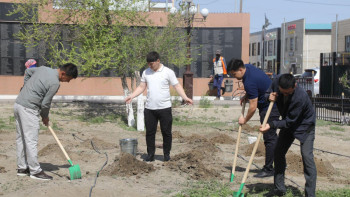 Фотография к новости: Таза Қазақстан. Аралда 3000 түп ағаш отырғызу жоспарланып отыр