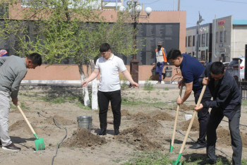Фотография к новости: Таза Қазақстан. Аралда 3000 түп ағаш отырғызу жоспарланып отыр