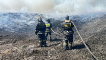 Фотография к новости: Абай облысындағы өрт сөндірілді