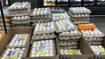 Фотография к новости: Елге тауық жұмыртқаларын әкелуге уақытша тыйым салынды