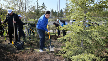 Фотография к новости: Мәжіліс депутаттары 350 түп ағаш отырғызды