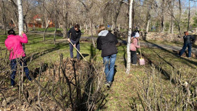 Дәрігерлер 23 мыңнан астам ағаш отырғызды