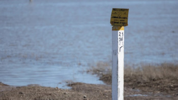 Фотография к новости: Жайық өзеніндегі су деңгейі тағы да көтерілді
