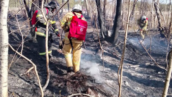 Фотография к новости: Абай облысындағы табиғи өрт жойылды