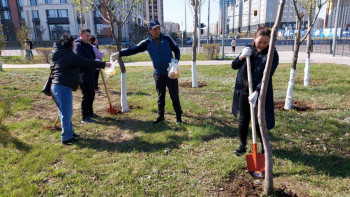 Фотография к новости: Көлік министрлігінің қызметкерлері жалпықалалық сенбілікке қатысты