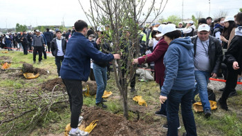 Фотография к новости: Алматыда 4 мыңнан астам алма ағашы отырғызылды