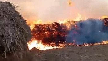 Фотография к новости: Атырауда 250 тоннаға жуық шөп өртенді