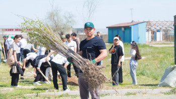 Фотография к новости: «Таза Қазақстан» акциясына 1 миллионнан астам адам қатысты