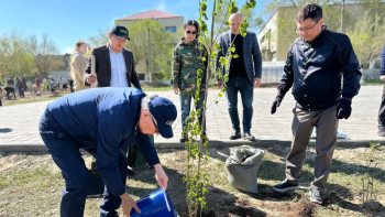 Фотография к новости: Таза Қазақстан. Ұлытауда 3500-ге жуық көшет отырғызылды