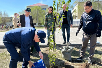 Фотография к новости: Таза Қазақстан. Ұлытауда 3500-ге жуық көшет отырғызылды