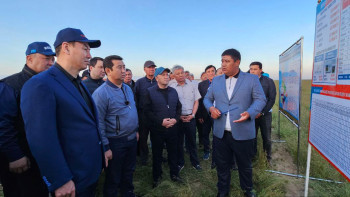 Фотография к новости: Түркістан облысында шегірткеге қарсы 111 мың га жер өңделді