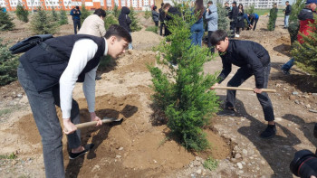 Фотография к новости: Таза Қазақстан. Экологиялық акцияға  27 мың жамбылдық қатысты