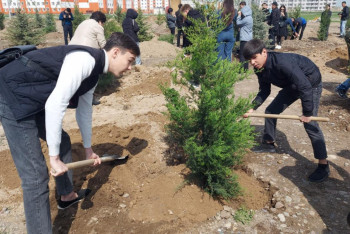 Фотография к новости: Таза Қазақстан. Экологиялық акцияға  27 мың жамбылдық қатысты