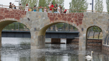 Фотография к новости: Елімізде 3,1 млн-нан астам оқушыны жазғы демалыспен қамту жоспарланып отыр