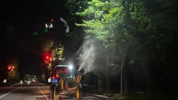 Фотография к новости: Алматыда ағаштарды биологиялық өңдеу жұмыстары жүргізілуде