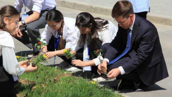 Фотография к новости: Шымкент мектептеріне ағаштар егілді