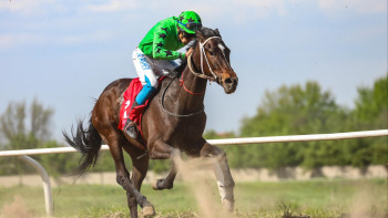 Фотография к новости: Елімізде ұлттық спорт туралы заң жобасы әзірленеді
