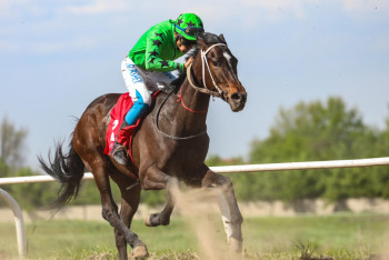 Фотография к новости: Елімізде ұлттық спорт туралы заң жобасы әзірленеді
