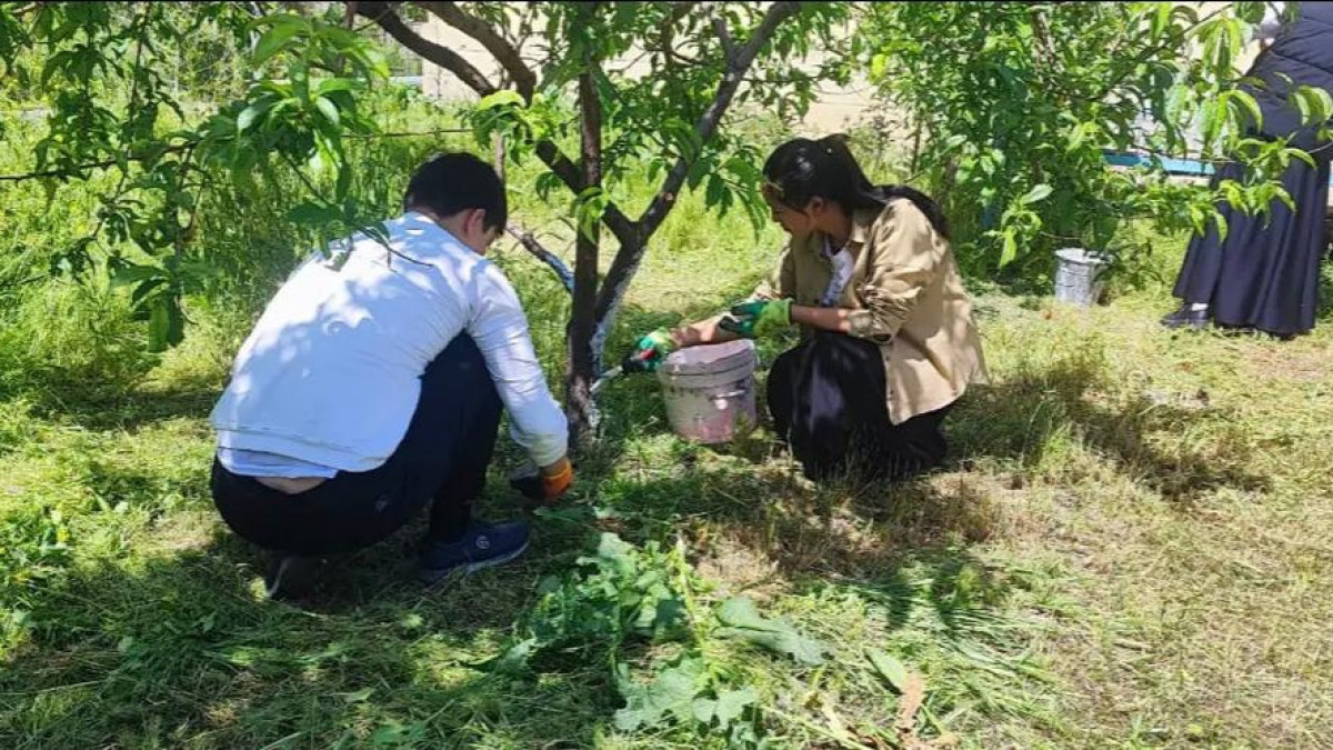  Шымкент қаласының әкімдігі