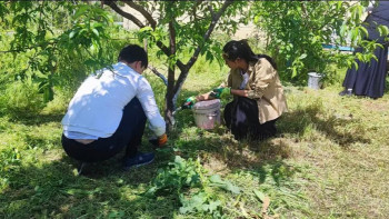 Фотография к новости: "Таза Қазақстан". Шымкентте "Өнегелі ұрпақ" апталығы өтіп жатыр