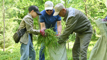 Фотография к новости: "Таза Қазақстан". Белсенді ардагерлер науқанға қатысуда