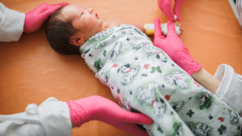 Фотография к новости: Сенатта байланыс, цифрландыру, инвестициялық ахуалды жақсарту туралы заң мақұлданды