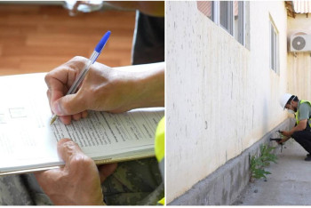 Фотография к новости: Құлсарыда 800-ден астам үй техникалық байқаудан өтті