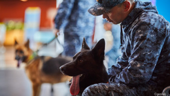 Фотография к новости: Қару, есірткі, діни кітаптар. Шекараны заңсыз кеспек болғандардан не тәркіленді