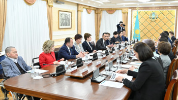 Фотография к новости: Сенат төрағасы Инклюзия жөніндегі кеңес отырысына қатысты