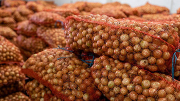 Фотография к новости: Жедел штаб: Индер ауданында 16 тонна азық түлік бар