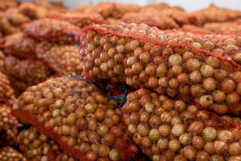 Фотография к новости: Жедел штаб: Индер ауданында 16 тонна азық түлік бар