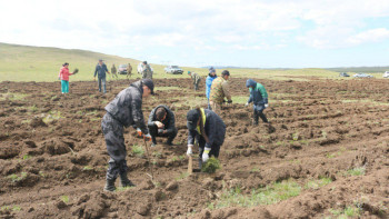 Фотография к новости: "Таза Қазақстан". "Бурабай" ұлттық паркіде экологиялық акция өткізді