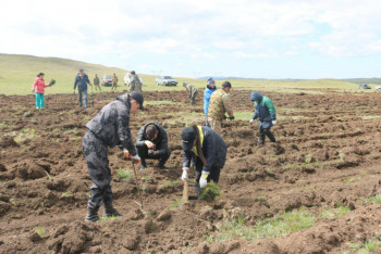 Фотография к новости: "Таза Қазақстан". "Бурабай" ұлттық паркіде экологиялық акция өткізді