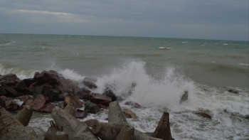 Фотография к новости: "Ресей суды аз беріп жатыр": Каспий суы тартылуына не әсер етті?