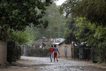 Фотография к новости: Гаитиде нөсер жауыннан 13 адам қаза болды