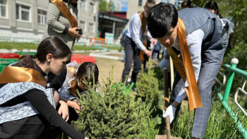 Фотография к новости: Абай облысының түлектері 4 мыңнан астам ағаш отырғызды