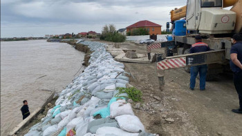 Фотография к новости: Атырау облысында Жайық өзеніндегі су қауіпті деңгейден асып кетті