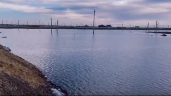 Фотография к новости: Жайық өзені жағы бетінен өр суы мол келіп жатыр