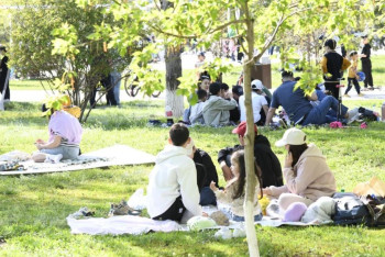 Фотография к новости: Эко-пикник: Астанада ерекше форматта экоакция өтті