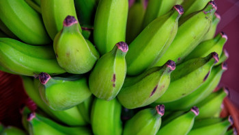 Фотография к новости: Дәрігер жасыл бананның пайдасы туралы айтты