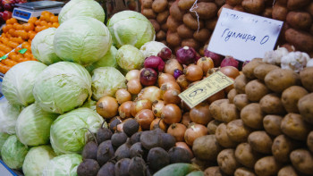 Фотография к новости: Үкімет: Су тасқыны кезінде көкөніс сақтау қоймаларына залал келтірілген жоқ