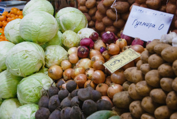 Фотография к новости: Үкімет: Су тасқыны кезінде көкөніс сақтау қоймаларына залал келтірілген жоқ