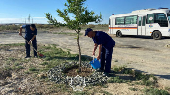 Фотография к новости: Апаттар медицинасы орталығы экологиялық акцияға қатысты