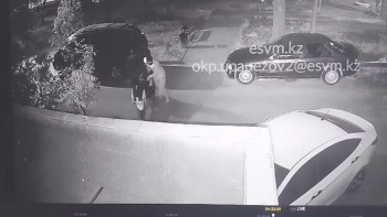 Фотография к новости: Алматыда мопед ұрлаумен айналысқан екі топ ұсталды