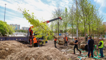 Фотография к новости: Астанада 170 қоғамдық кеңістік пен аула абаттандырылады